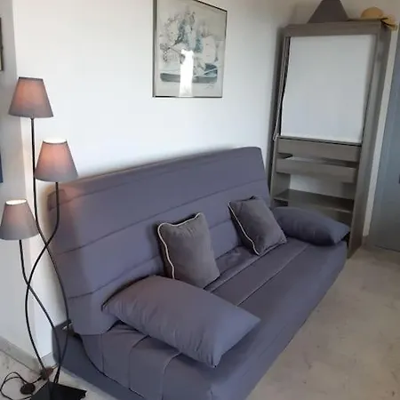 Avec Grande Terrasse ,et Vue Sur La Baie De Cannes Daire